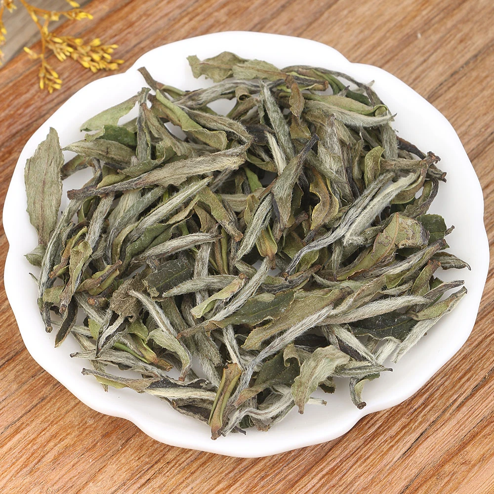 孚瑞桂52231豪豪白牡丹2022年白茶头采毫香可可香木质香蜜韵回甘