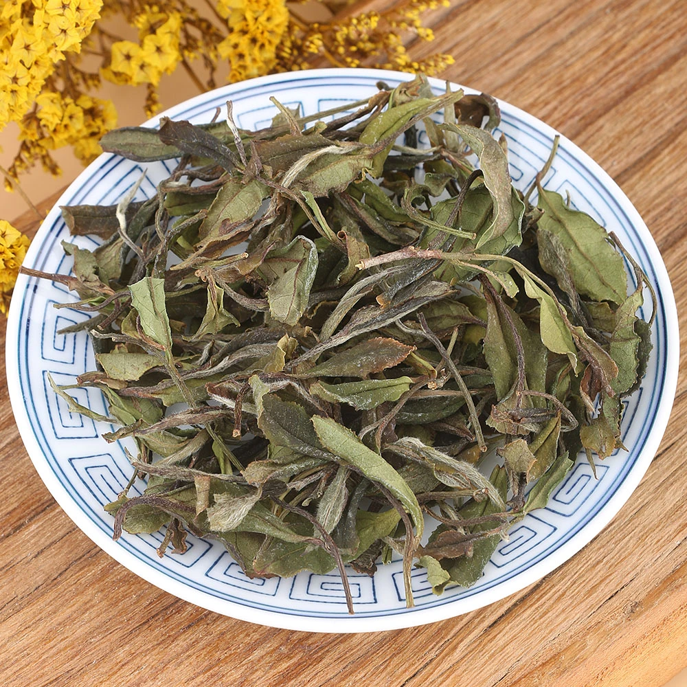 孚瑞桂荒野贡眉52226基地小白05 2022年老枞内质丰富花香蜜韵