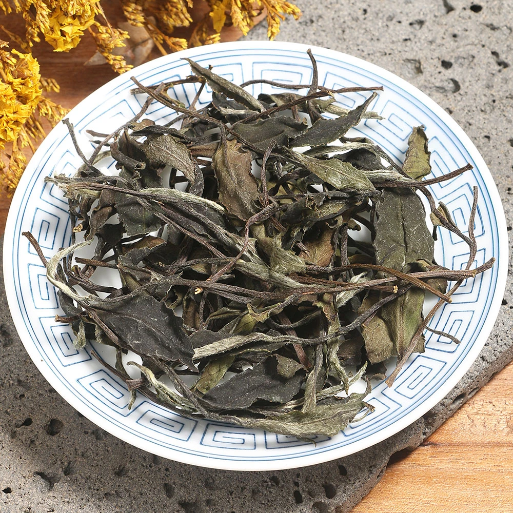 孚瑞桂52459梅占白牡丹 2024年白茶梅占树种花香浓郁醇厚蜜韵回甘