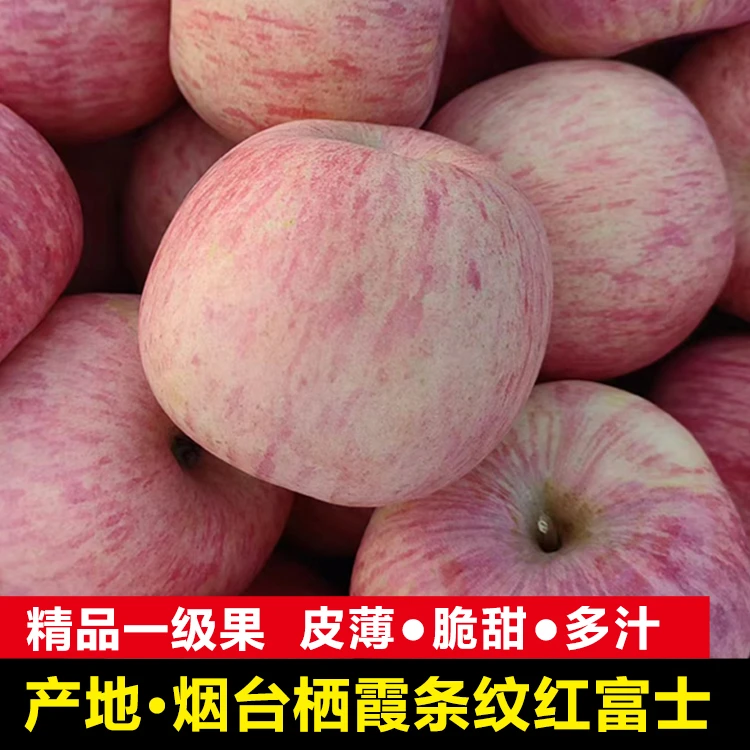山东烟台红富士苹果栖霞原产地新鲜水果批发整箱皮薄脆