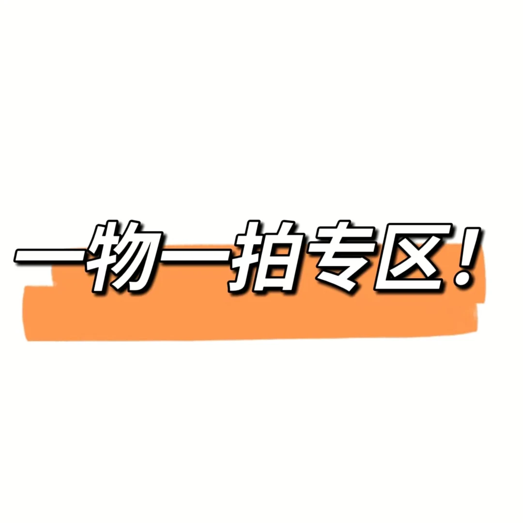 【一物一拍专区】斗南花市直逛一物一拍 小众氛围感鲜切花材