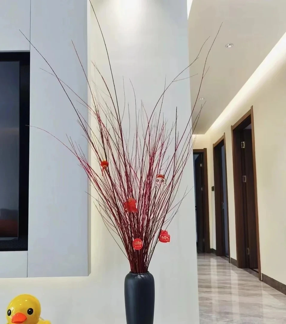 【红柳】国风红色系年宵花 小众氛围感鲜切花材