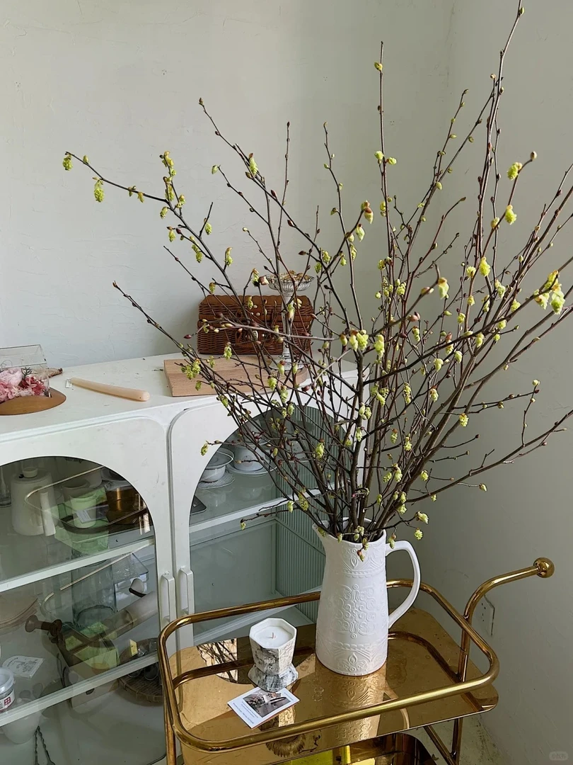 【耳坠花】野趣养成系 小众氛围感鲜切花材