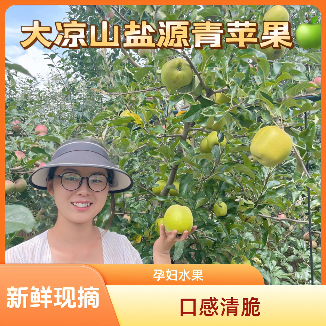 现摘现发新鲜应季苹果水果小苹果酸甜脆口适合孕妇国王的青苹果