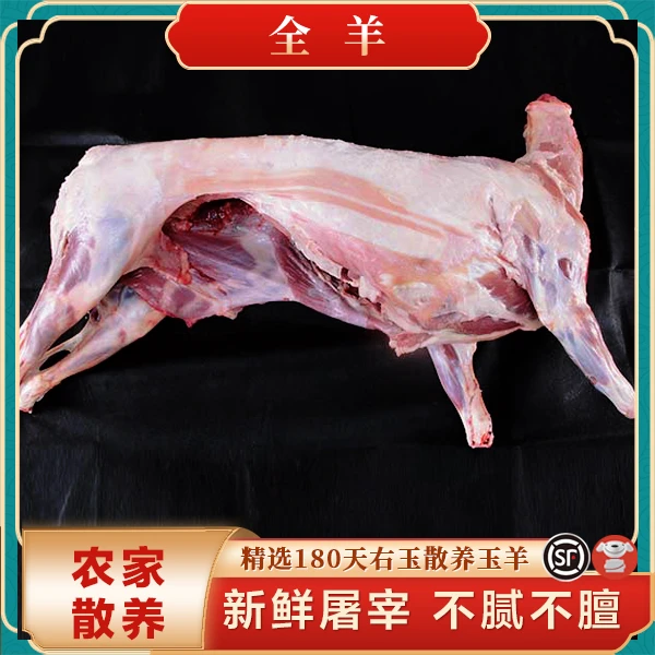 【年货】右玉生态羔羊现杀整羊40斤2分体切块100%腿排