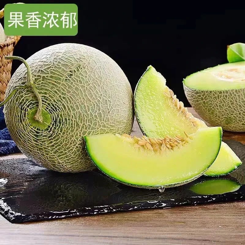 海南网纹蜜瓜玫珑瓜软糯香甜梅陇瓜静冈冰激凌哈密瓜新鲜水果
