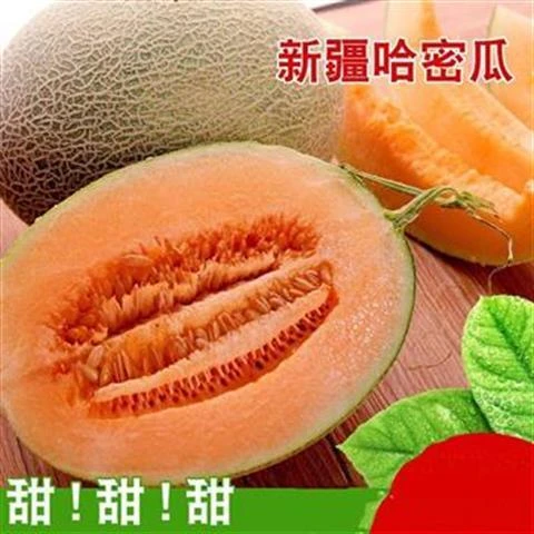 哈密瓜脆甜多汁当季新鲜水果西州蜜瓜多仓发货