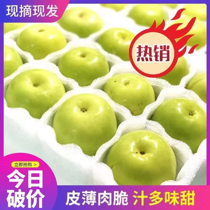 福建牛奶青枣贵妃枣新鲜现摘脆甜大青枣当季孕妇水果1/3/5斤批发