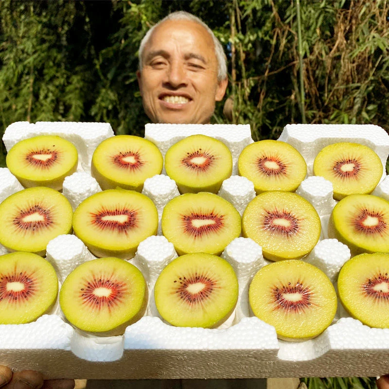 正宗高山红心猕猴桃奇异果产地直发新鲜水果新鲜猕猴桃发货放软