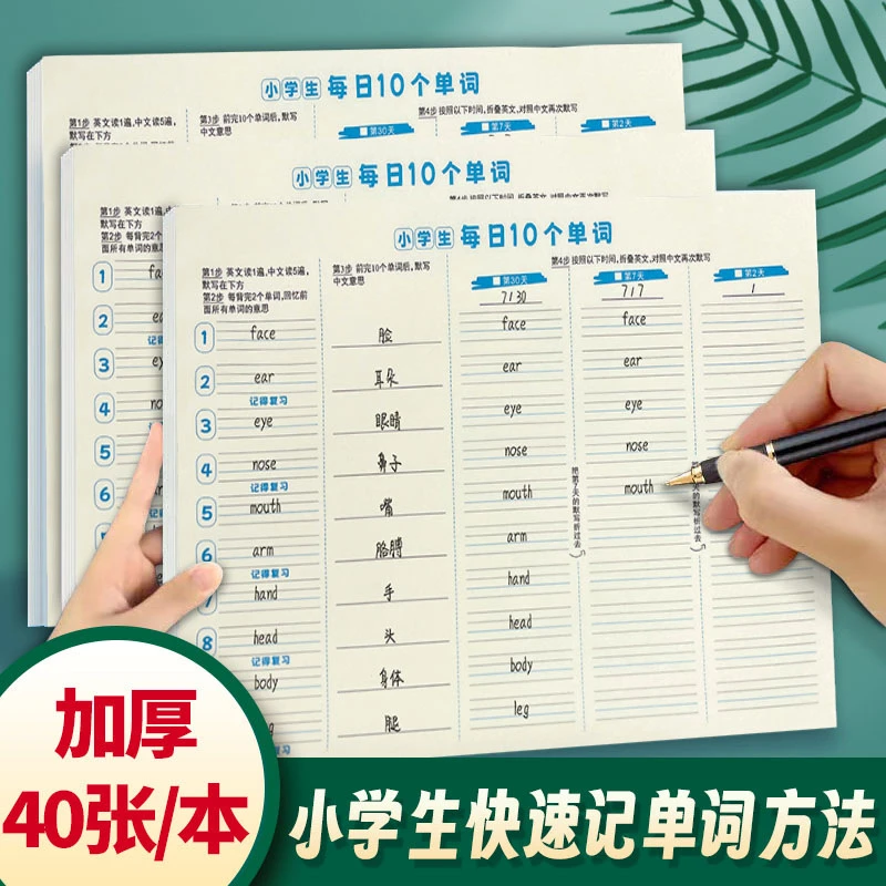【每日10个单词】小学初中英语活页速记本艾宾浩斯记忆拼音默写纸