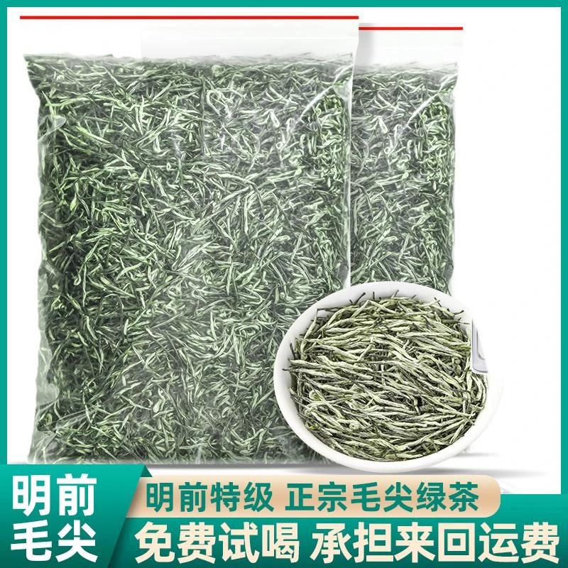 正宗毛尖2025年新茶叶特级浓香型明前绿茶嫩芽散装袋装250g500g