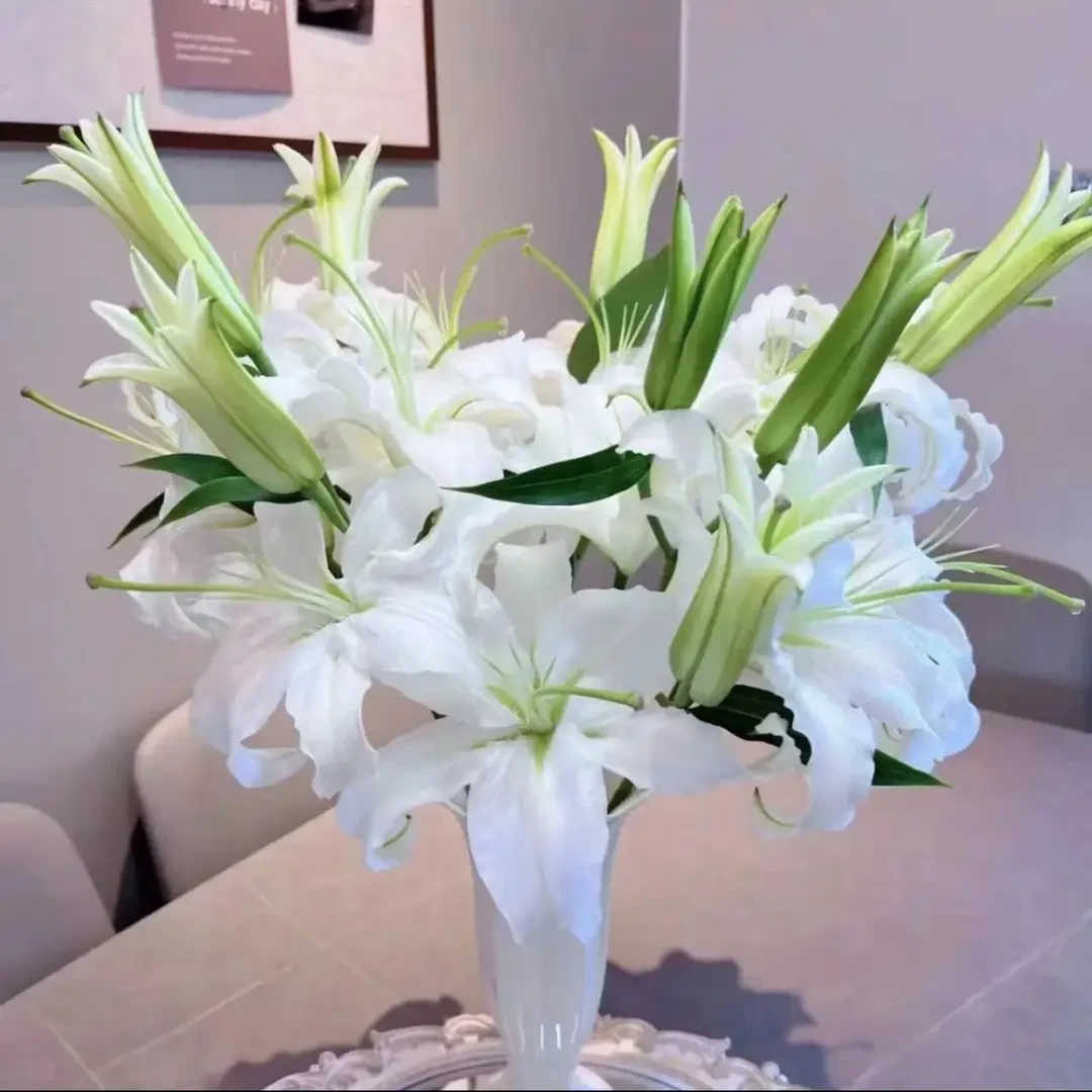 【西伯利亚】进口百合种球西伯利亚索邦庭院阳台多年生有香味耐看