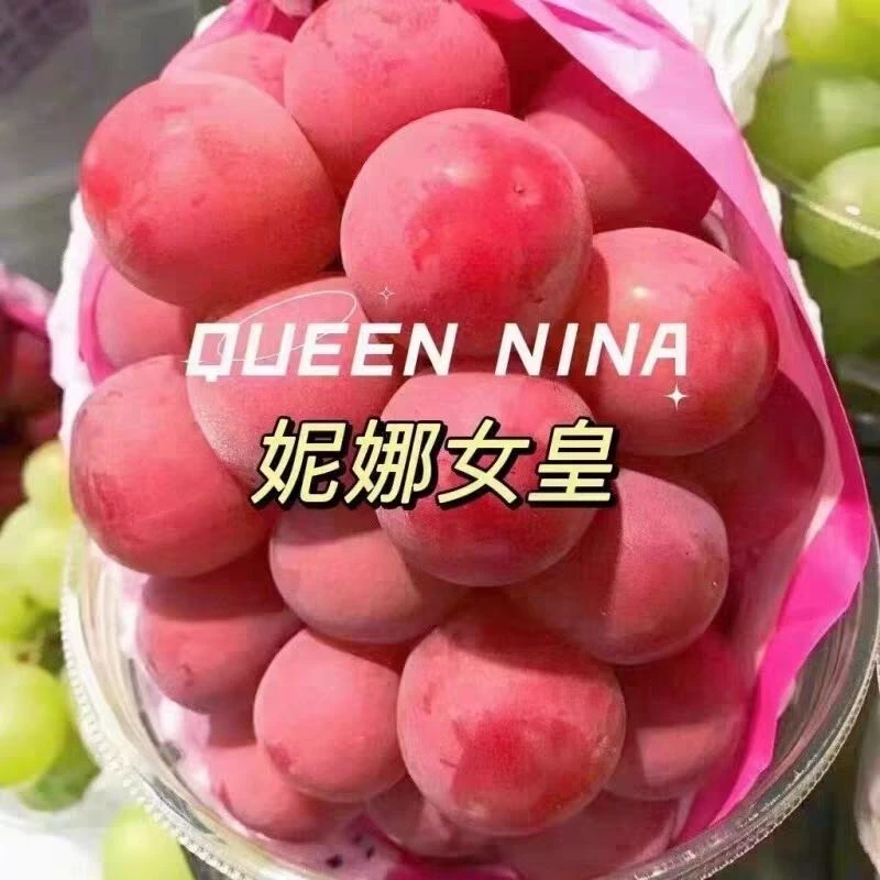 【顺丰空运】妮娜皇后葡萄浓香浓甜红提新鲜葡萄2-4斤礼盒装现摘