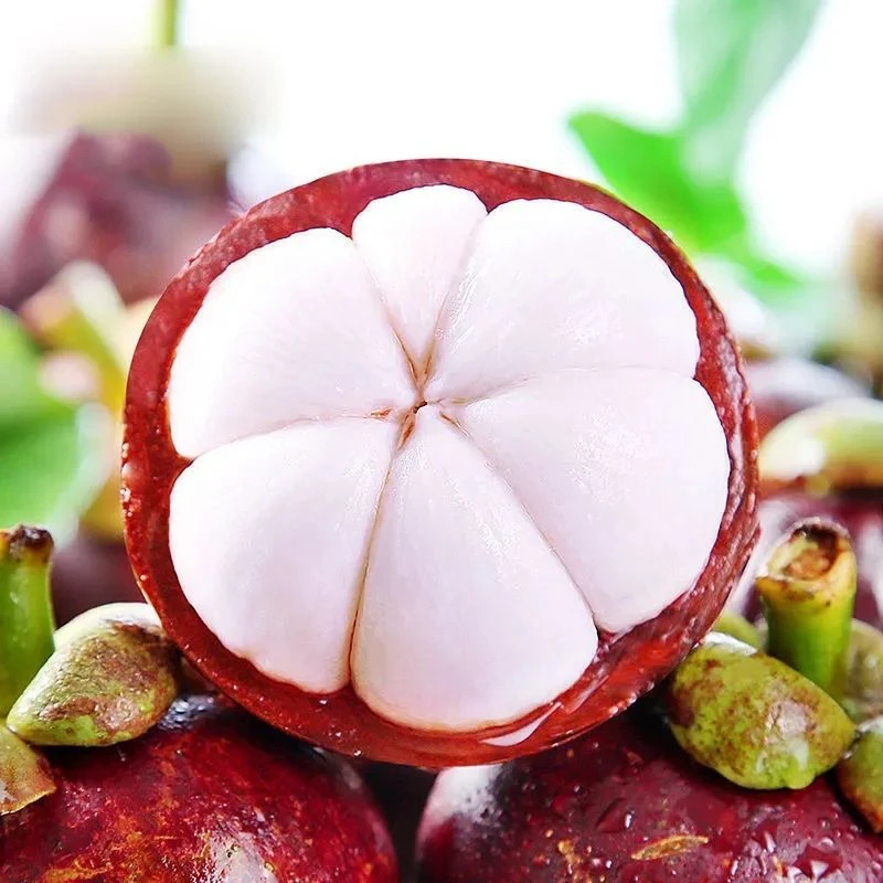 【顺丰包邮】泰国进口山竹新鲜白嫩多汁4A精品3斤装