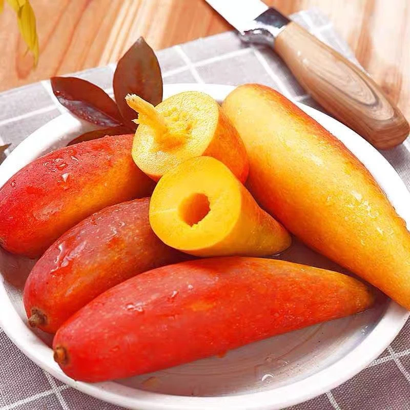 海南老果辣椒芒果新鲜成熟细腻饱满肉厚汁水多3/5斤装爆甜