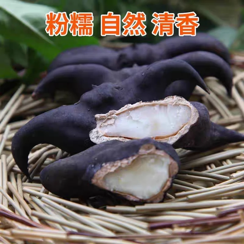 洪湖现摘新鲜老菱角粉糯香甜炖汤老菱角顺丰包邮