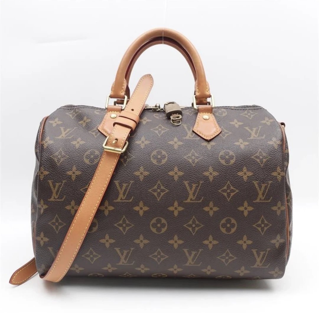 95新 LouisVuitton/路易威登 LV speednano25枕头包 50598