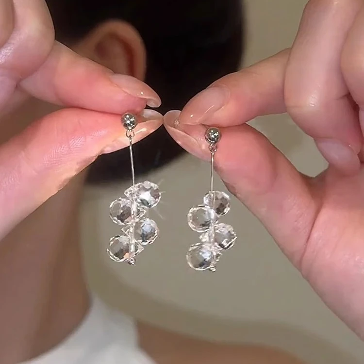 925银针流苏网红耳环轻奢小众高级感气质洋气冷淡风耳钉时尚精致