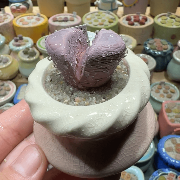 红陶20CM（含）-50CM（不含）蘑菇-019
