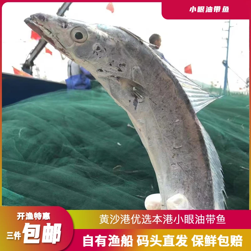 黄沙港小眼油带鱼 吕泗渔场 新鲜深海雷达网海捕鲜带鱼 适合清蒸