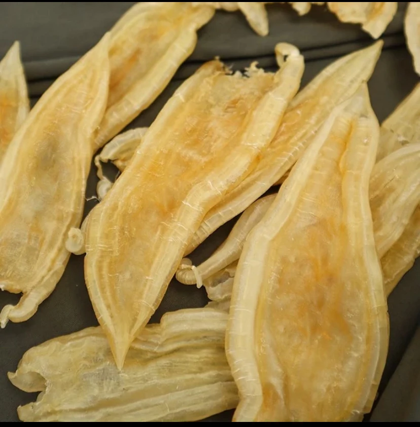 双背胶不腥出胶炖奶煲汤