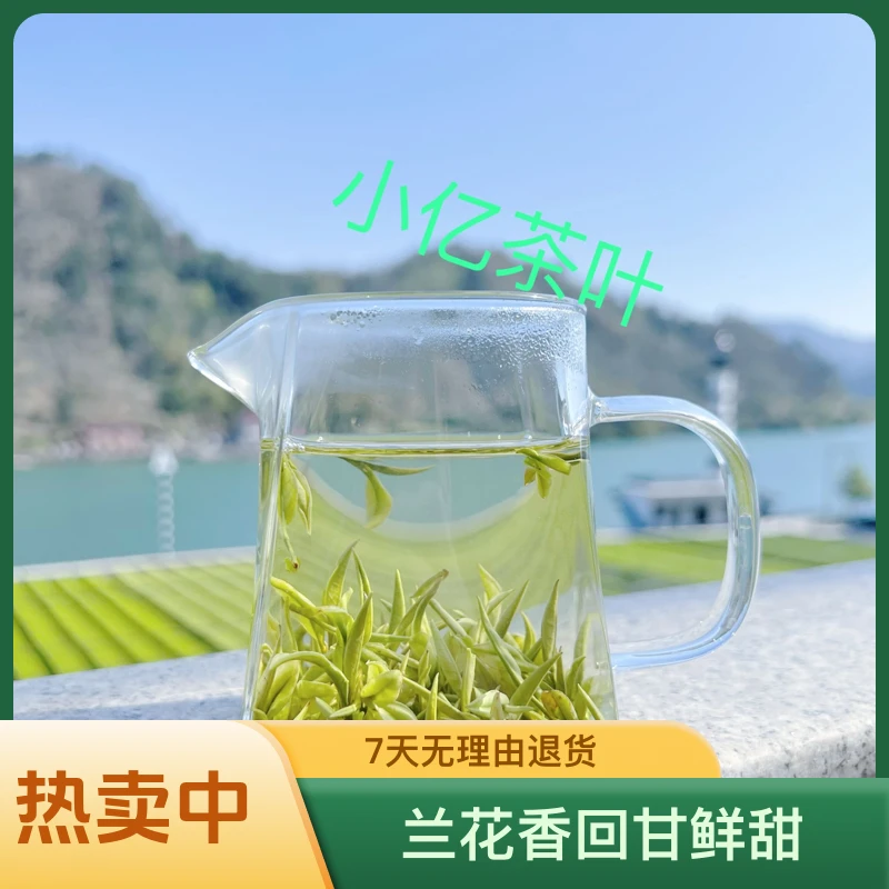 （回甘鲜甜无苦涩）高山明前白茶毛峰新茶兰花香清香口粮茶2024新茶