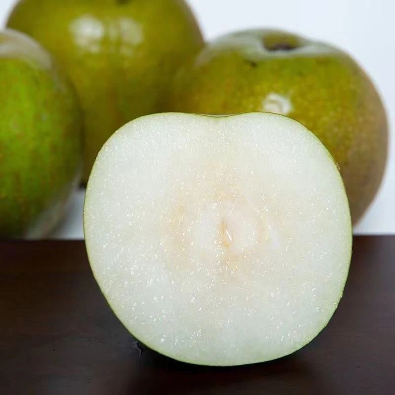 上海庄行蜜梨青皮翠冠梨大果脆甜多汁当季新鲜水果包邮礼盒装