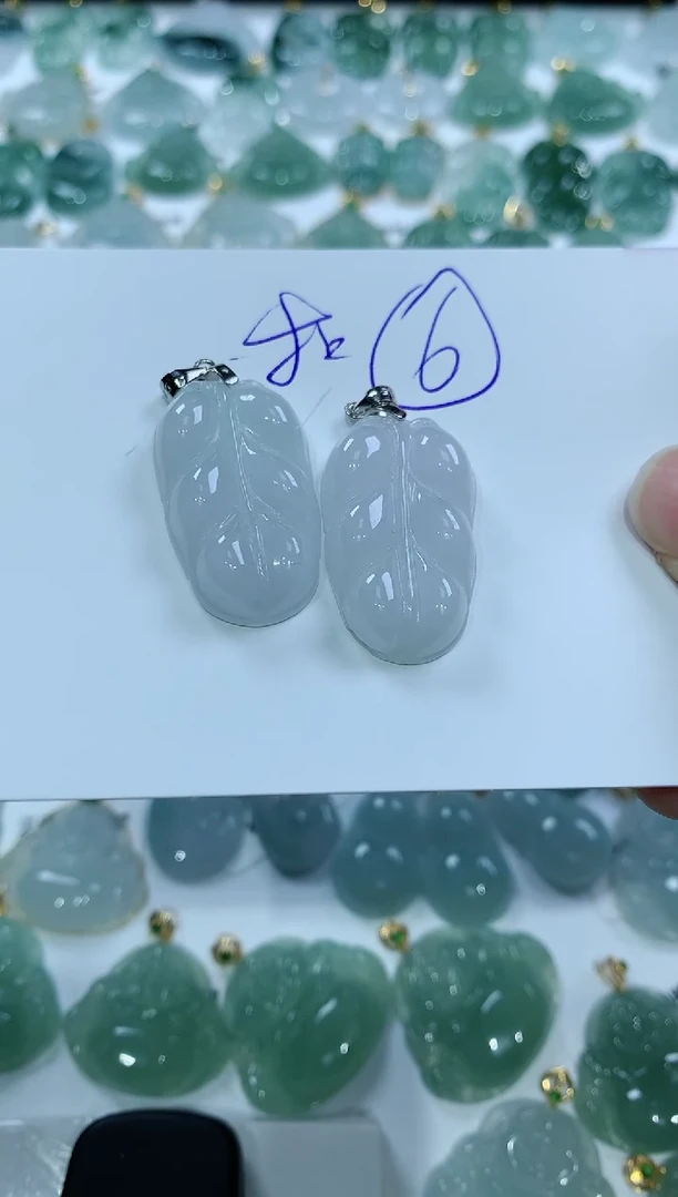 【闪购商品】翡翠颈饰未镶嵌多样性发其一