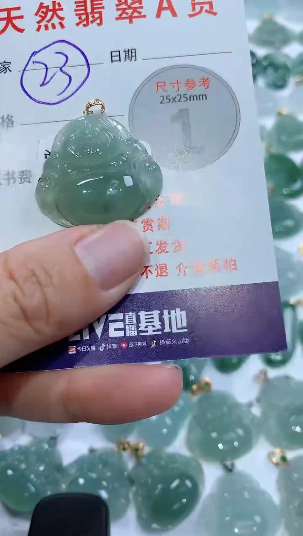 【闪购商品】翡翠颈饰未镶嵌1