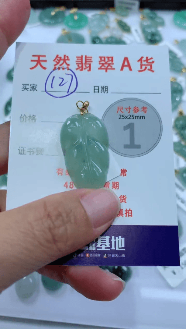 【闪购商品】翡翠颈饰未镶嵌天然A货翡翠