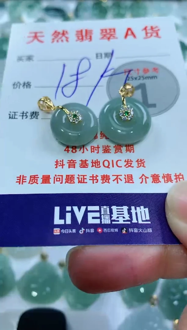 【闪购商品】翡翠颈饰未镶嵌多样性发其一