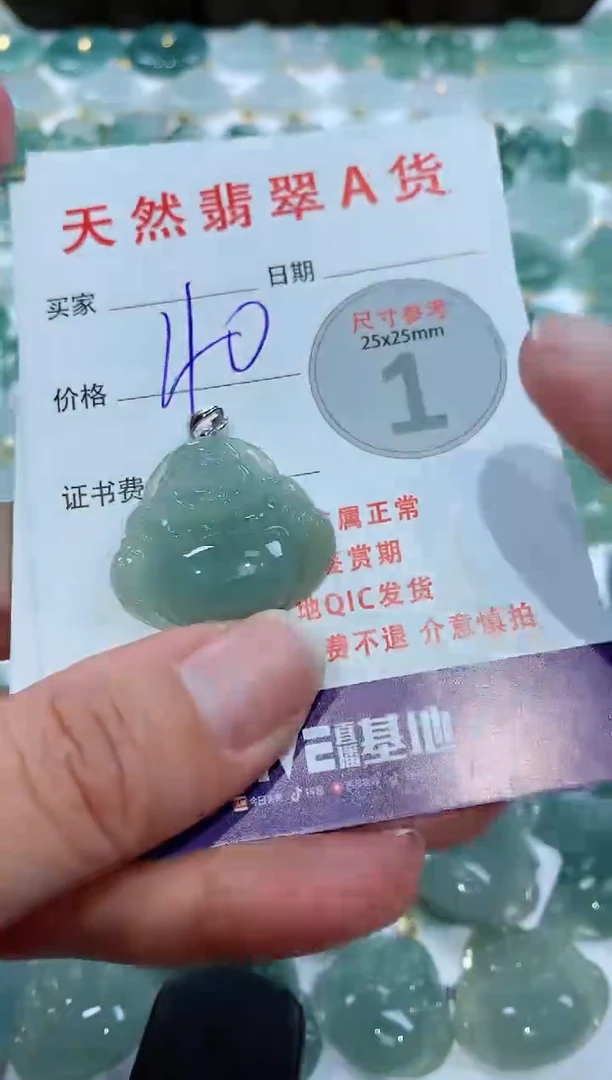 【闪购商品】翡翠颈饰未镶嵌1