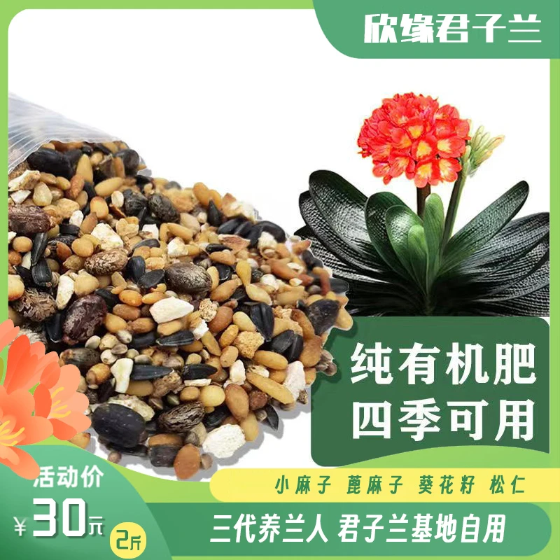 君子兰 腰肥 缓释肥颗粒肥 小麻子蓖麻子松仁葵花籽 油性肥  有机