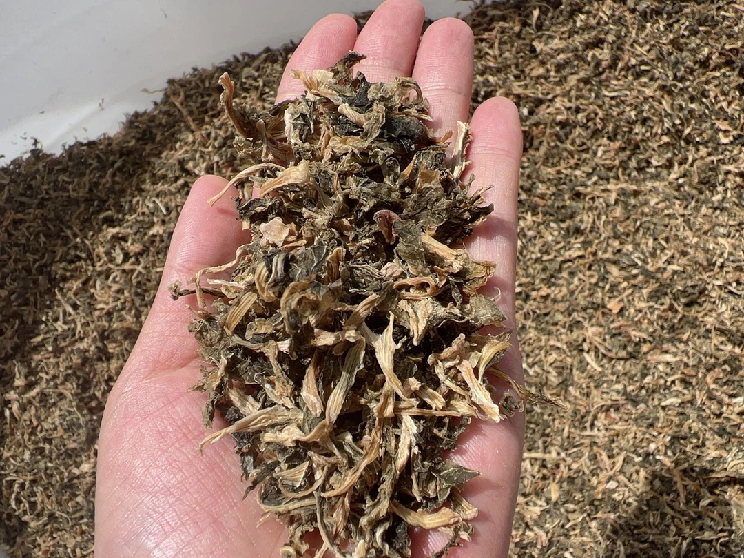 洪湖手工梅干菜雪里蕻腌菜咸菜干货下饭菜干菜干净新鲜
