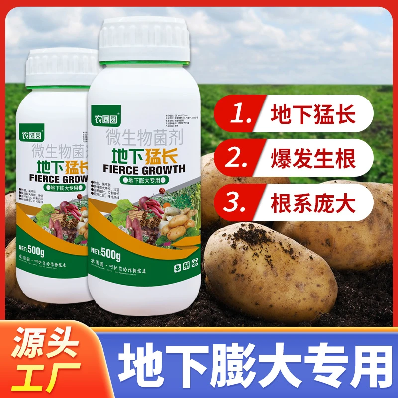 地下猛长地下根茎膨大素土豆莲藕生姜蒜芋头红薯荸荠萝卜等地下茎