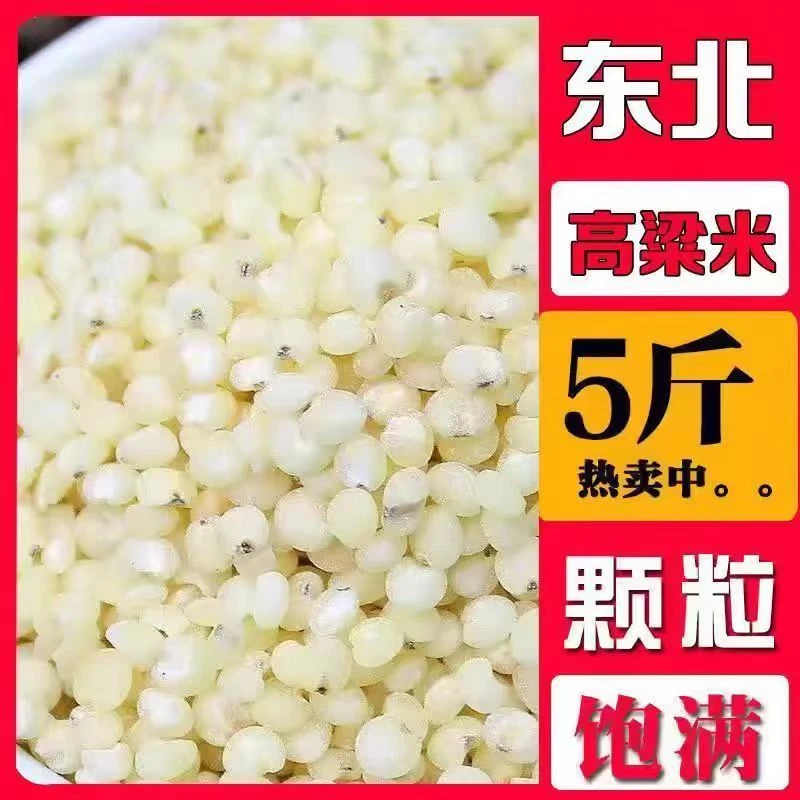 2024东北高粱米5斤现磨去皮高粱米水饭