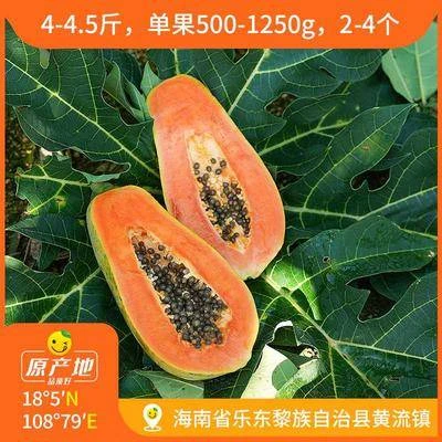 辰颐物语辰颐物语红心木瓜4-4.5斤2-4个坏果包赔香甜皮薄产地多汁