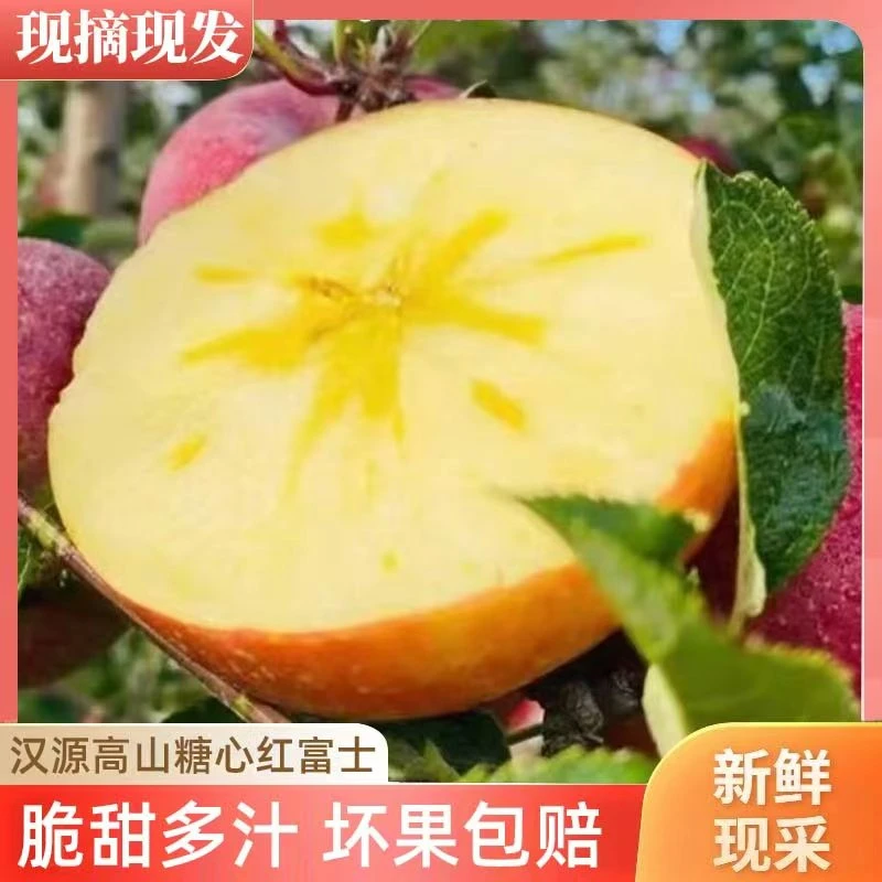 汉源高山糖心红富士脆甜多汁坏果包赔净重10斤苹果