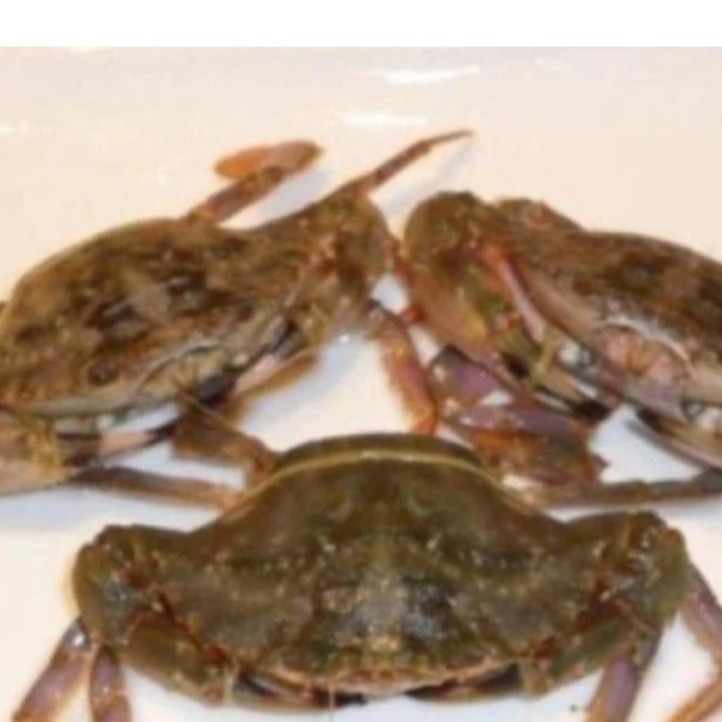 鲜活较大石蟹2斤（5-8只/斤）约1000g/份