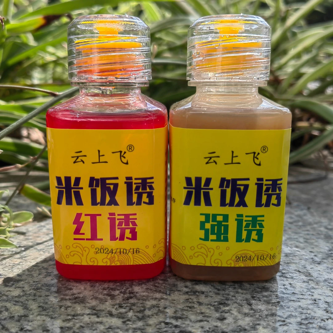 云上飞 - 米饭诱