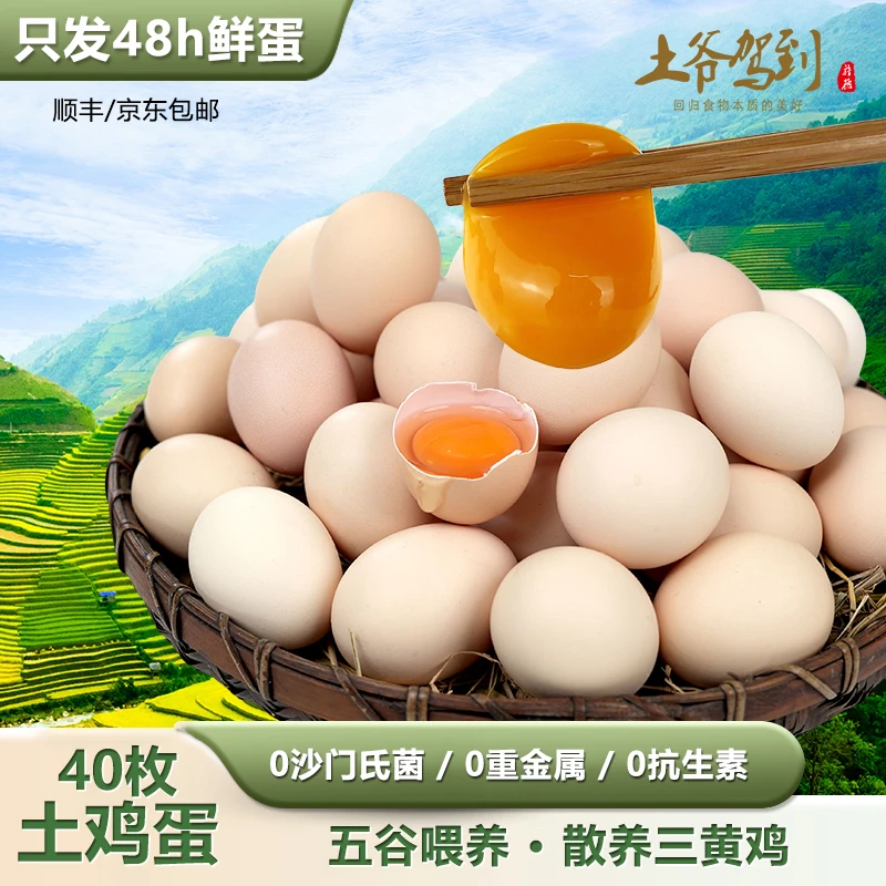 土爷驾到40枚无菌无抗可生食鸡蛋优质谷物喂养土鸡蛋农场直达dr