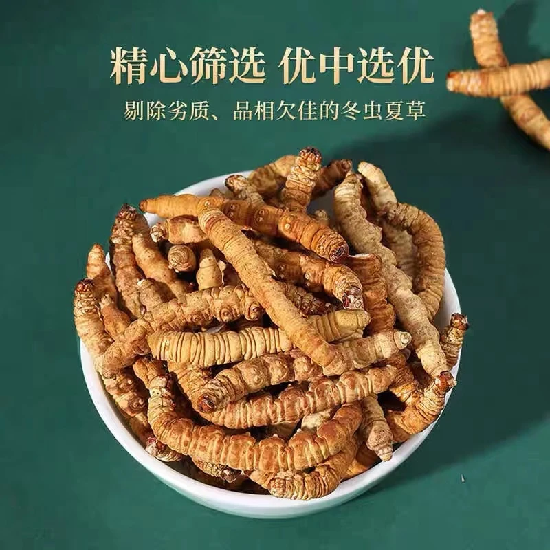 翰民堂 冬虫夏草 大号断虫草 高品质断虫草