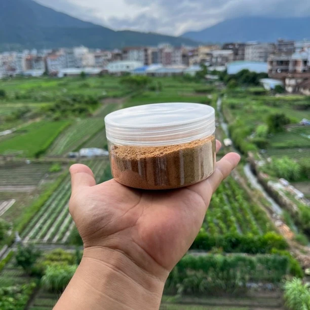 印度迈索尔老山檀香车珠木屑粉50克