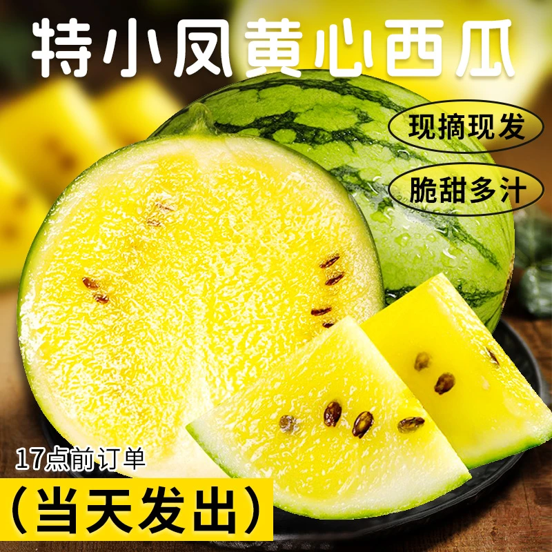 特小凤贵妇冰淇淋黄瓤手撕甜瓜薄皮麒麟西瓜爆汁脆甜产地头茬瓜
