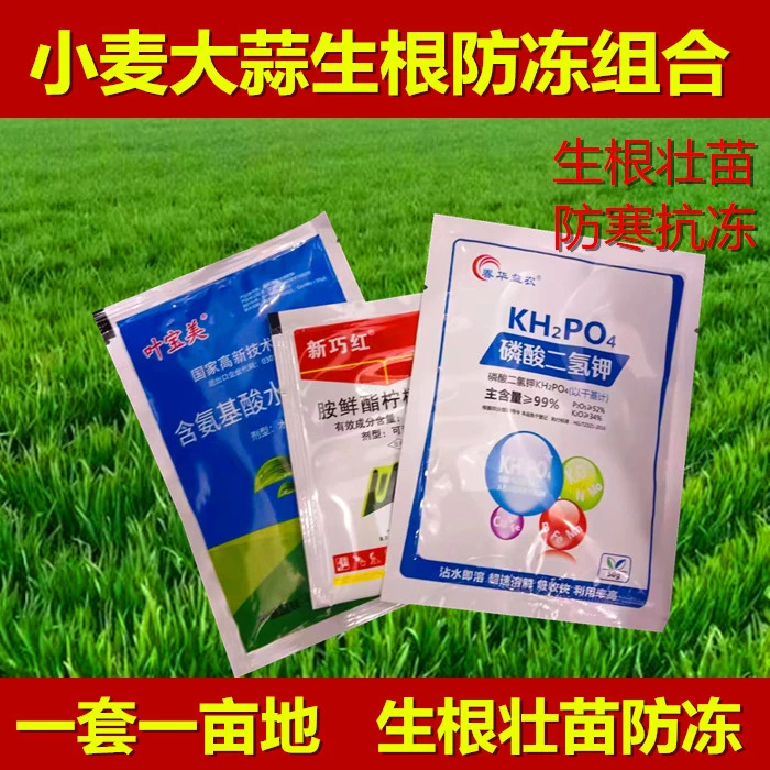 【活动中】小麦大蒜防冻抗寒生根壮苗叶面肥组合