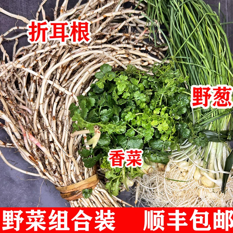 贵州野菜组合装现挖野葱新鲜野生折耳根鱼腥草野蒜小根蒜薤白苦蒜