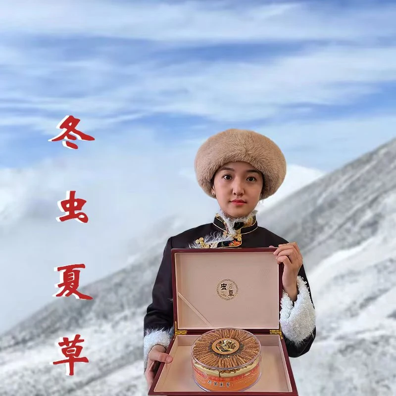 干冬虫夏草中大草干嚼泡水滋补性价比泡酒品质甄选食用优选送礼