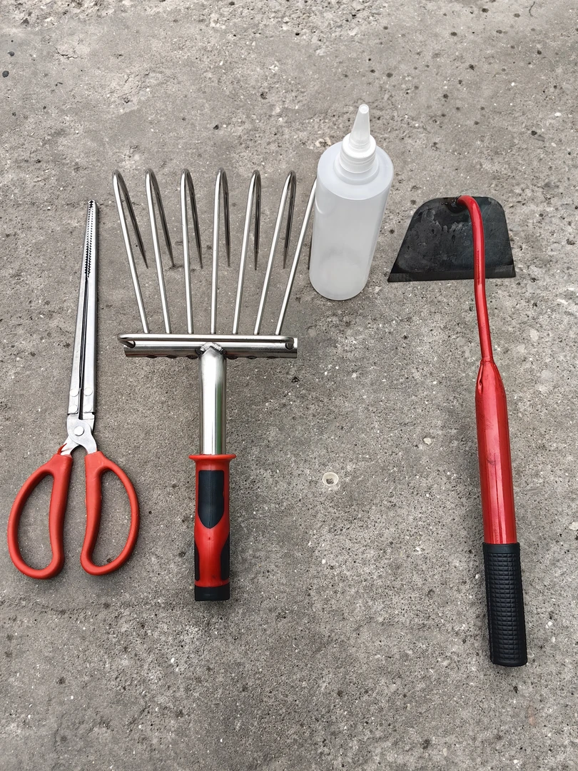 赶海四件套（抓蛏子螃蟹挖蛤捡海螺）