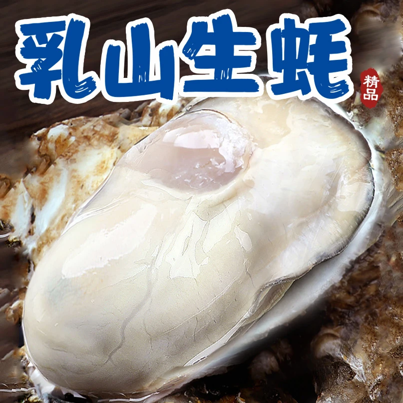 乳山生蚝买4斤送1斤精品装鲜活牡蛎顺丰包邮