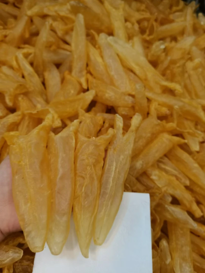 非洲足干40头黄花胶250克一500克